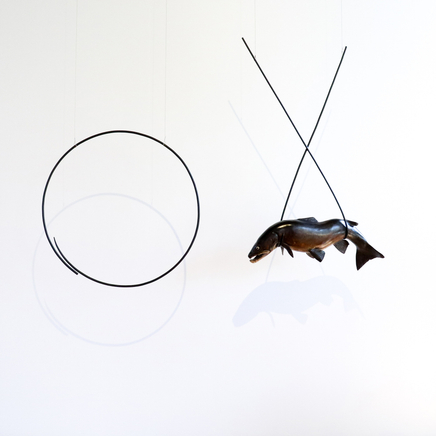 Bing Dawe, Introductions and Interventions / Large Trout Tekapo Canal, 2005