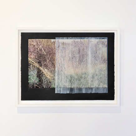 Fiona Van Oyen, Mother, 2022