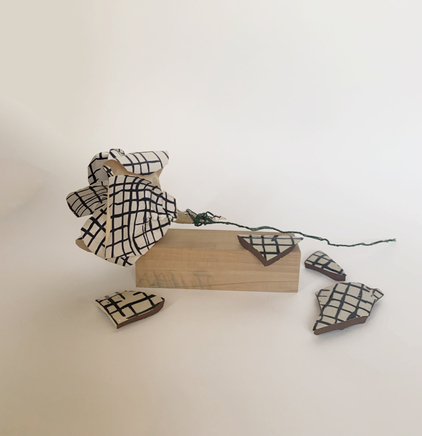 Martin Poppelwell, Rose - Te Rohi , 2016