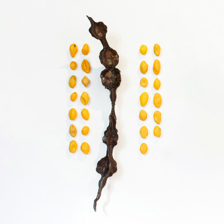 Hannah Kidd, Kākano Tahi (Takitoru), 2023-2024