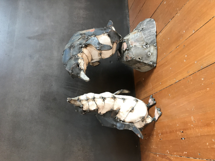 Hannah Kidd, Blue penguins, 2018