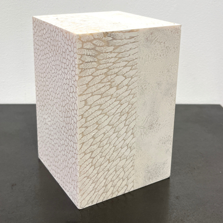 Chauncey Flay, Seawall #10, 2025