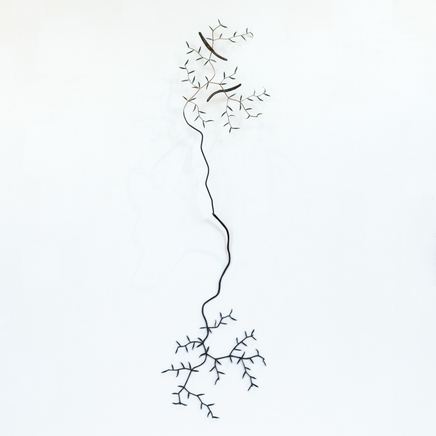 Bing Dawe, Streamside Reflection - Okuti River with Tunariki and Ribbonwood, 2024