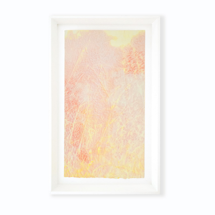 Fiona Van Oyen, Little Darling, 2023