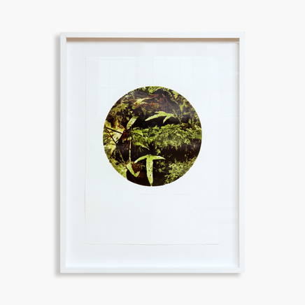 Fiona Van Oyen, Totaranui no. 1, 2013