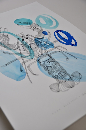 Annie Sandano, Blueprint