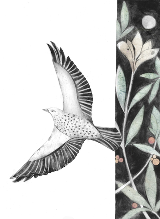 Beatrice Forshal, Song Thrush