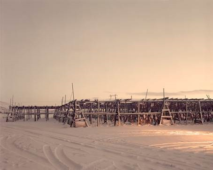 Jack Latham, Stockfish