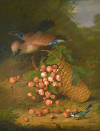 William Jones of Bath, Bluejay with strawberries