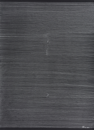 WANG Shilong 王世龙 No.246, 2016