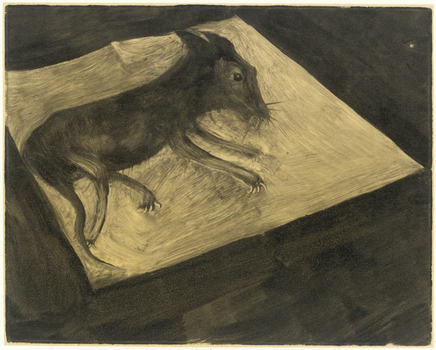 A Trapped Mouse 被粘到的老鼠，2014