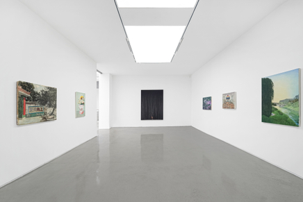 Face And Pore Installation View 18