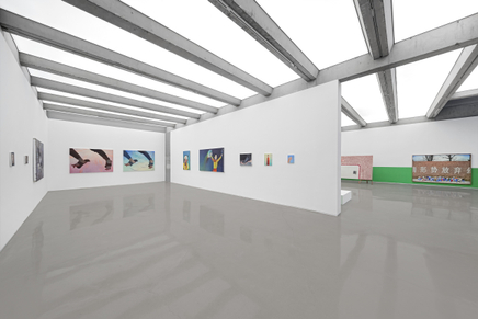 Face And Pore Installation View 23