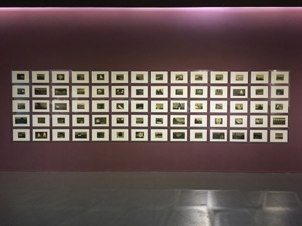 ZHANG Lei Participates in PUZZLES-OCAT Xi'an Winter Exhibition 2016