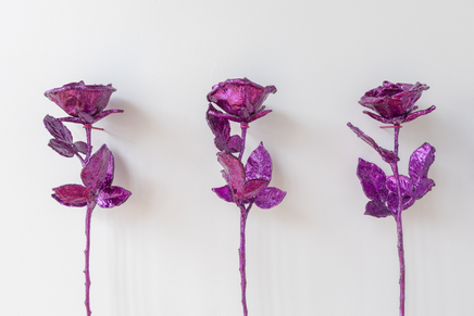 Centralgallery21Nov9744