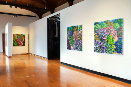 Karl Maughan Install 1 Web