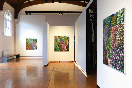 Karl Maughan Install 6 Web