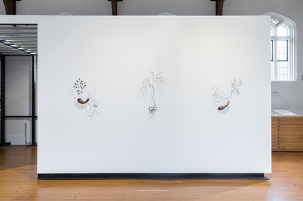 Centralgalleryfebruary24 8