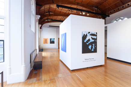 Salome Tanuvasa Mum And Dads Garden At Night The Central Art Gallery Install 1