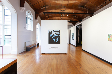 Salome Tanuvasa Mum And Dads Garden At Night The Central Art Gallery Install 4