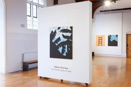 Salome Tanuvasa Mum And Dads Garden At Night The Central Art Gallery Install 5