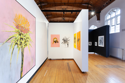 Pete Wheeler Zara Dolan The Central Art Gallery Install Photos 10 Sml