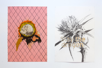 Pete Wheeler Zara Dolan The Central Art Gallery Install Photos 11 Sml