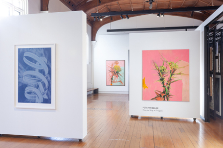 Pete Wheeler Zara Dolan The Central Art Gallery Install Photos 2 Sml