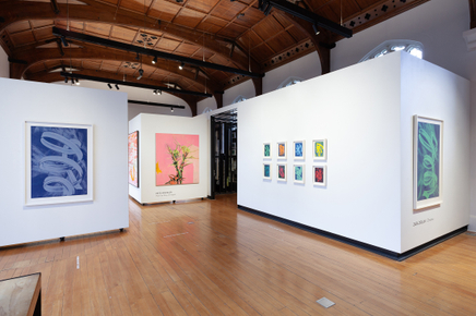 Pete Wheeler Zara Dolan The Central Art Gallery Install Photos 3 Sml