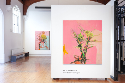 Pete Wheeler Zara Dolan The Central Art Gallery Install Photos 6 Sml