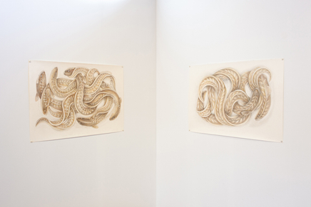 Michel Tuffery The Life Cycle Of Ma Hina The Central Art Gallery Install 2