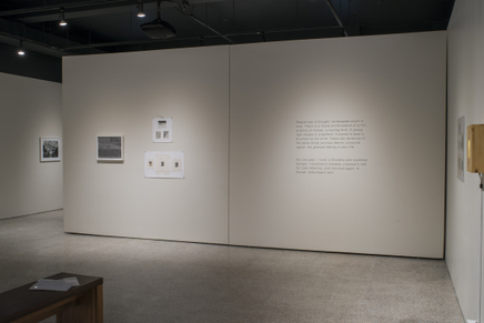 Deanna Pizzitelli Koza Installation Photos 15