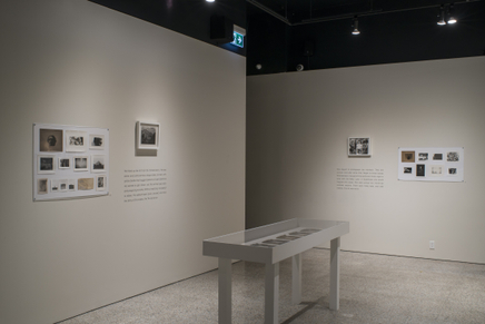 Deanna Pizzitelli Koza Installation Photos 18