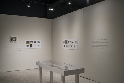 Deanna Pizzitelli Koza Installation Photos 19