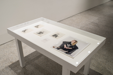 Deanna Pizzitelli Koza Installation Photos 39