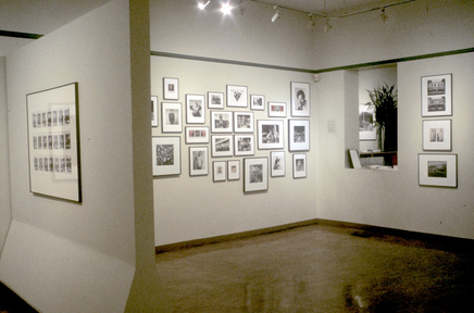 Gallery 6