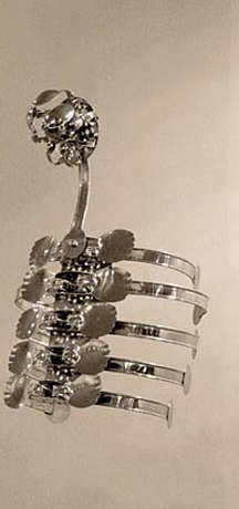 Adeela Suleman Case 4