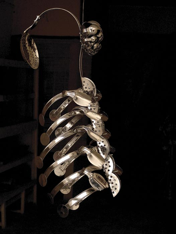 Adeela Suleman Case&nbsp;1