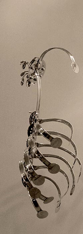 Adeela Suleman Case 3