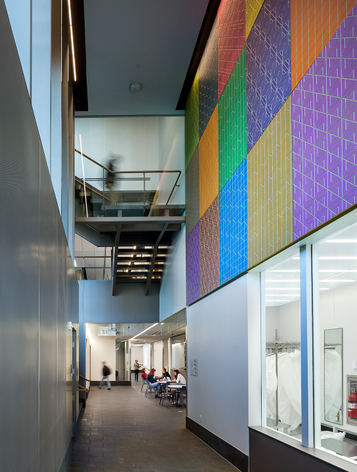 SPENCER FINCH The Garden in The Brain 