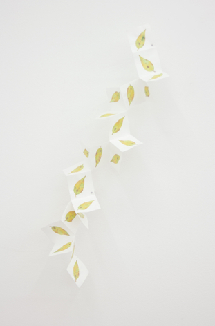 SPENCER FINCH Falling Leaf (hickory)