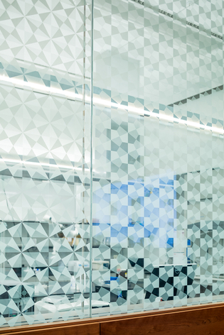 SPENCER FINCH The Garden in The Brain 