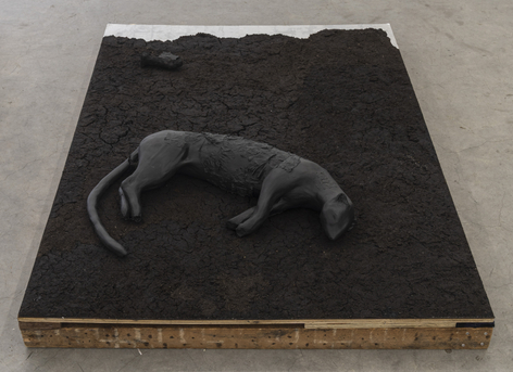 Paulina Moncada, Husk, 2025