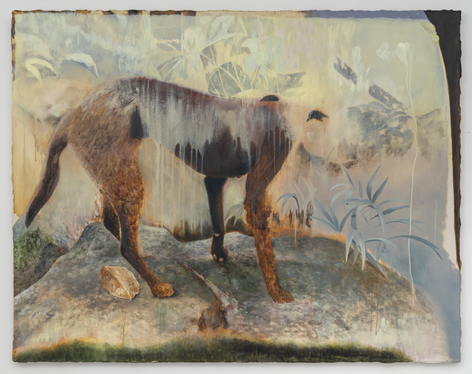 Paulina Moncada, Of Being Numerous, 2026