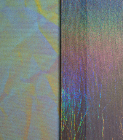 BONNIE MAYGARDEN, St. Charles, 2026