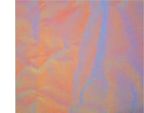 BONNIE MAYGARDEN, Figment Pigment, 2026