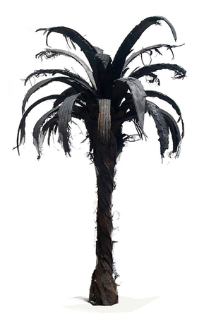 Douglas White, Black Palm 2, 2026