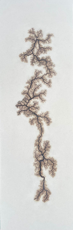 Douglas White, Lichtenberg Drawing 7, 2026