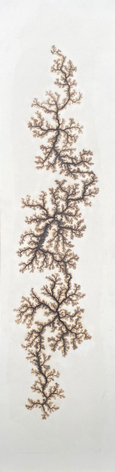 Douglas White, Lichtenberg Drawing 3, 2026