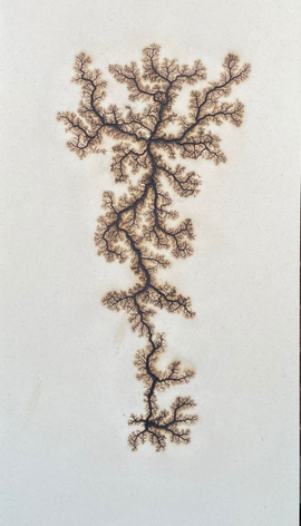 Douglas White, Lichtenberg Drawing 5, 2026